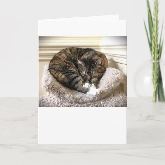 低速日、カード カード (正面)