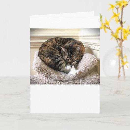 低速日、カード カード (黄色い花)