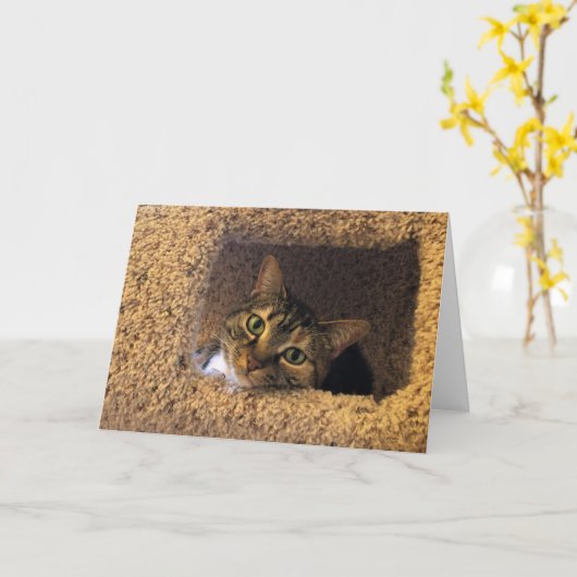 低速日、カード カード (黄色い花)