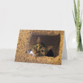 低速日、カード カード (正面)