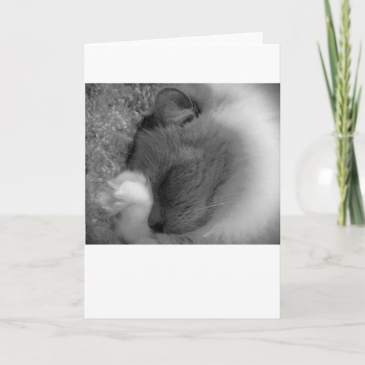 低速日、カード カード (正面)