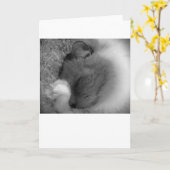 低速日、カード カード (黄色い花)