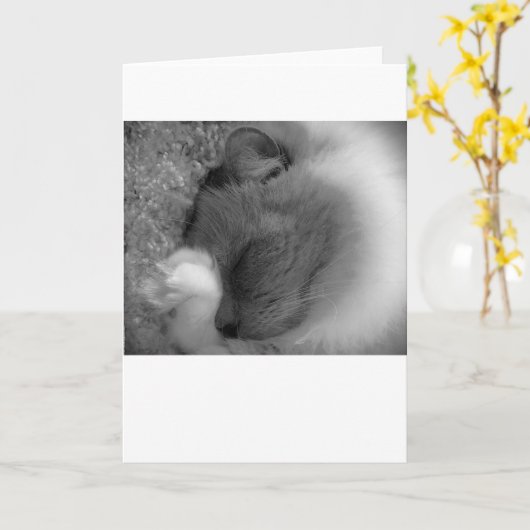 低速日、カード カード (黄色い花)