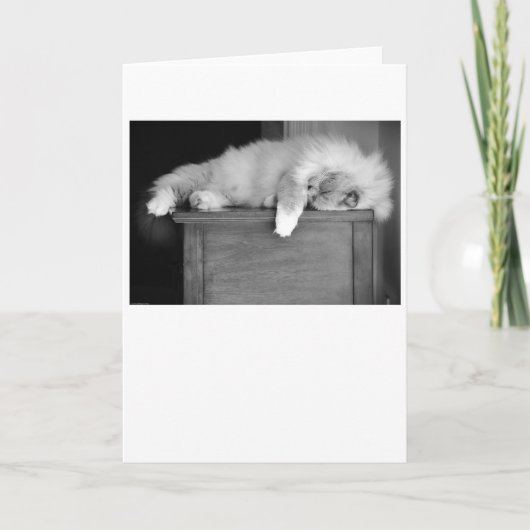 低速日、カード カード (正面)