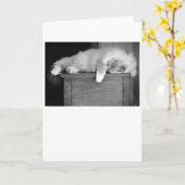 低速日、カード カード (黄色い花)