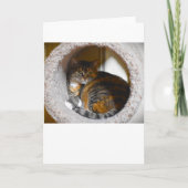 低速日、カード カード (正面)