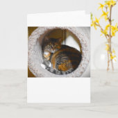 低速日、カード カード (黄色い花)