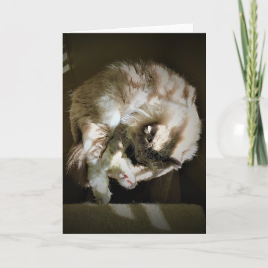 低速日、カード カード (正面)