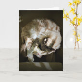 低速日、カード カード (黄色い花)