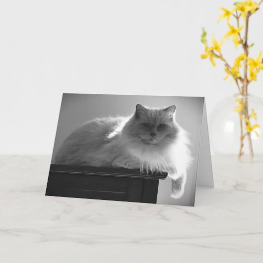 低速日、カード カード (黄色い花)