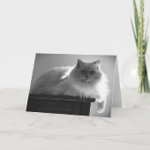 低速日、カード カード (正面)