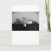 低速日、カード カード (正面)