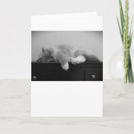 低速日、カード カード