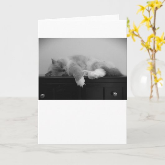 低速日、カード カード (黄色い花)