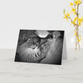 低速日、カード カード (黄色い花)