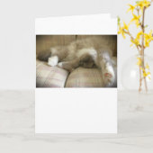 低速日、カード カード (黄色い花)