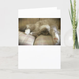 低速日、カード カード