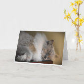 低速日、カード カード (黄色い花)