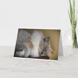 低速日、カード カード