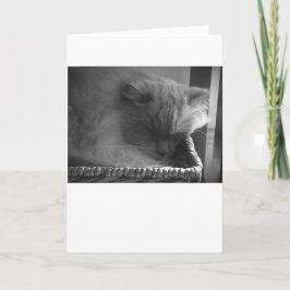 低速日、カード カード