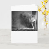 低速日、カード カード (黄色い花)