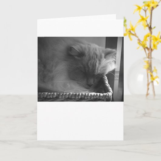 低速日、カード カード (黄色い花)