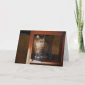 低速日、カード カード (正面)