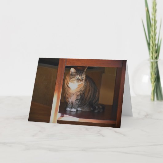 低速日、カード カード (正面)