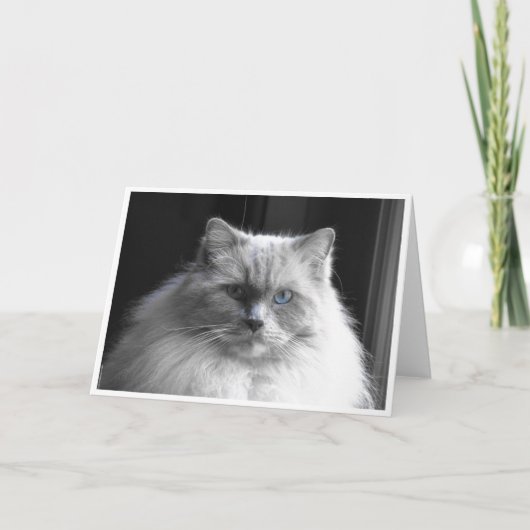 低速日、カード カード (正面)