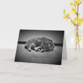 低速日、カード カード (黄色い花)