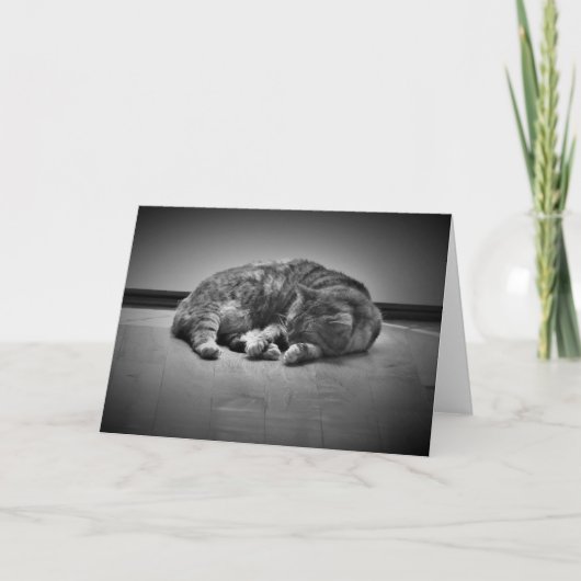 低速日、カード カード (正面)