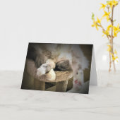 低速日、カード カード (黄色い花)