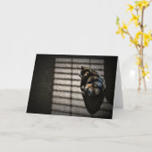 低速日、カード カード (黄色い花)