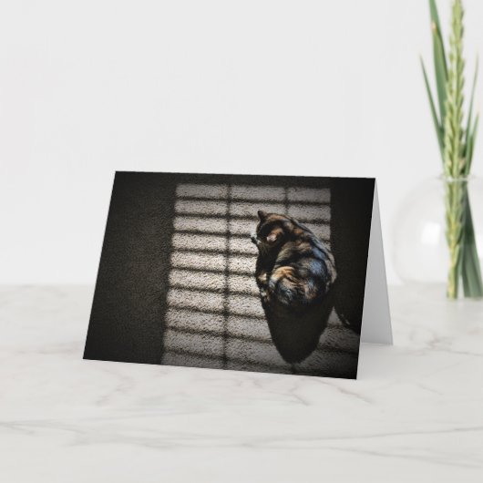 低速日、カード カード (正面)