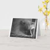 低速日、カード カード (黄色い花)