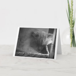 低速日、カード カード