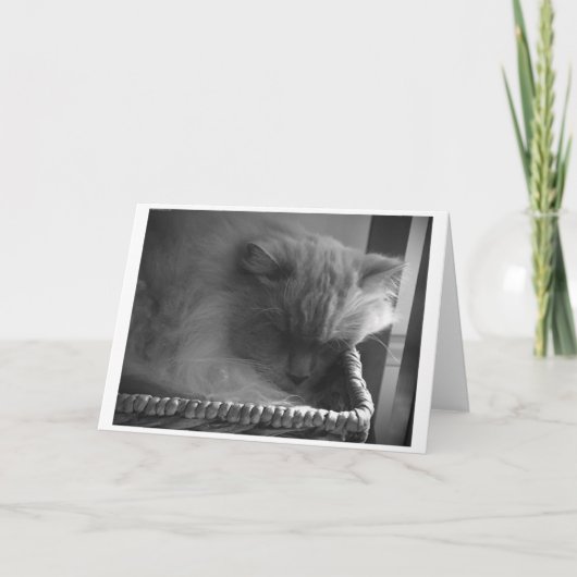 低速日、カード カード (正面)