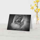 低速日、カード カード (黄色い花)