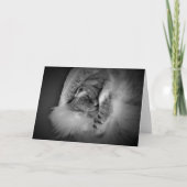 低速日、カード カード (正面)