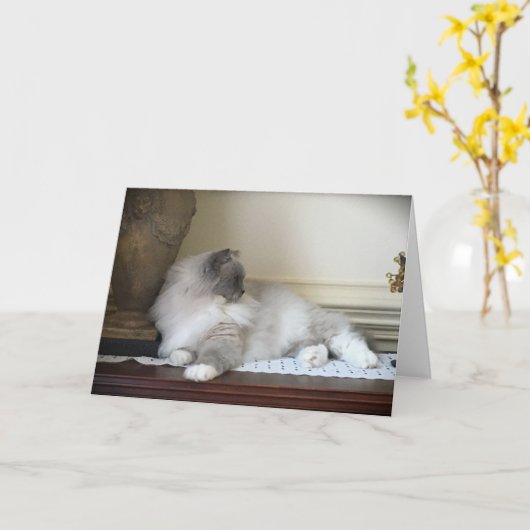 低速日、カード カード (黄色い花)