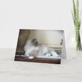 低速日、カード カード (正面)