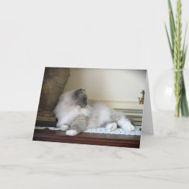 低速日、カード カード