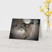 低速日、カード カード (黄色い花)