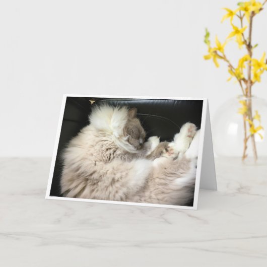 低速日、カード カード (黄色い花)