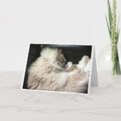 低速日、カード カード (正面)