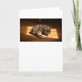 低速日、カード カード (正面)