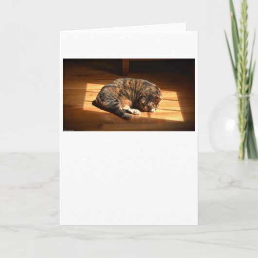 低速日、カード カード (正面)