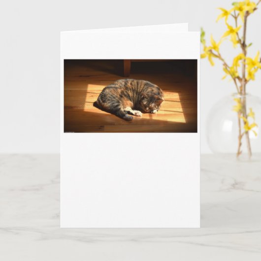 低速日、カード カード (黄色い花)