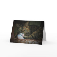 低速日、カード