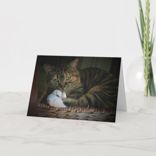 低速日、カード カード (正面)